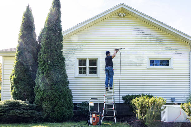 Solar Panel Cleaning in Whitmore Village, HI